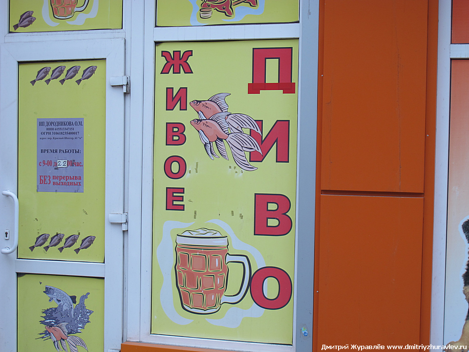 Пиво диво Пиво диво