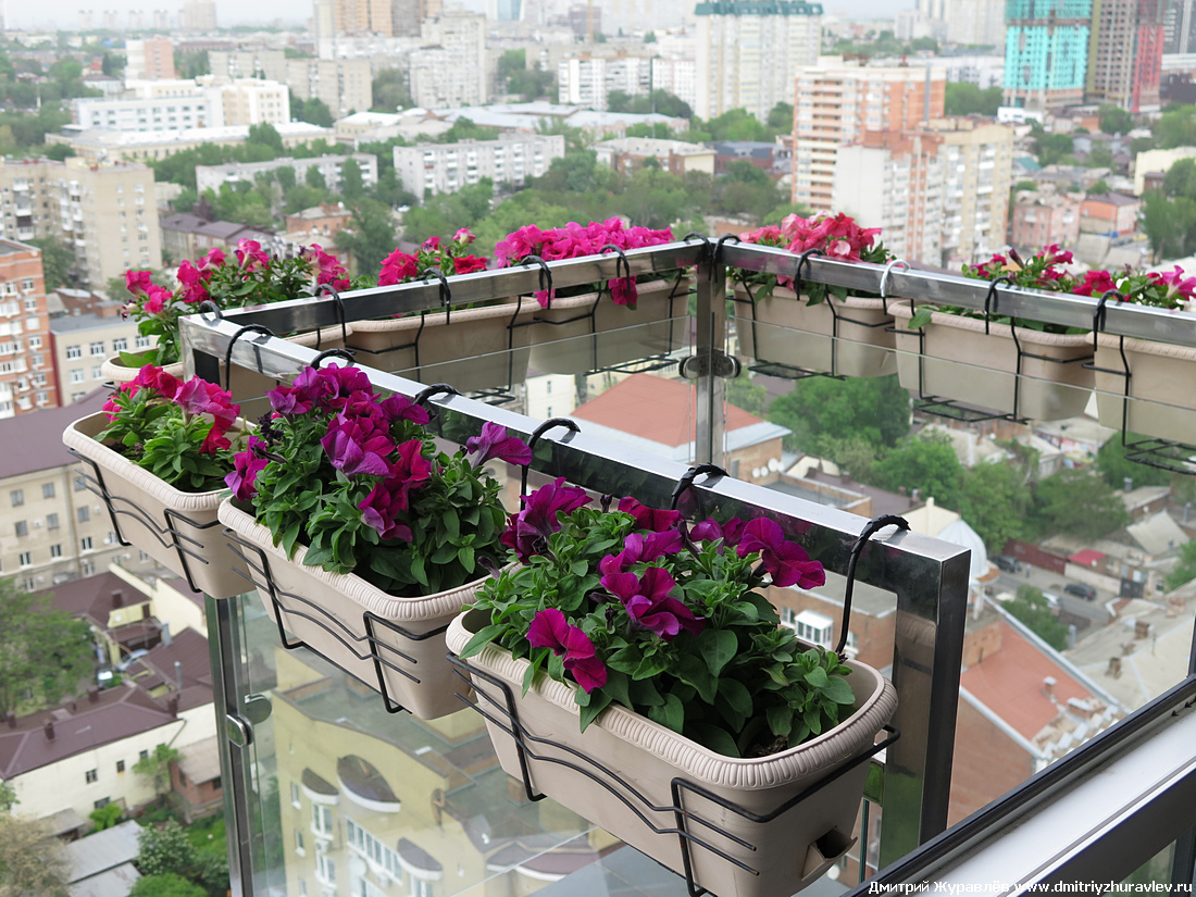 Ростов-на-Дону Ростов-на-Дону