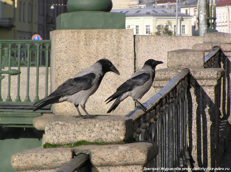 Санкт-Петербург